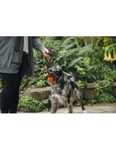 PLAY Scout & About - Rope Toy - Tug Ball - L