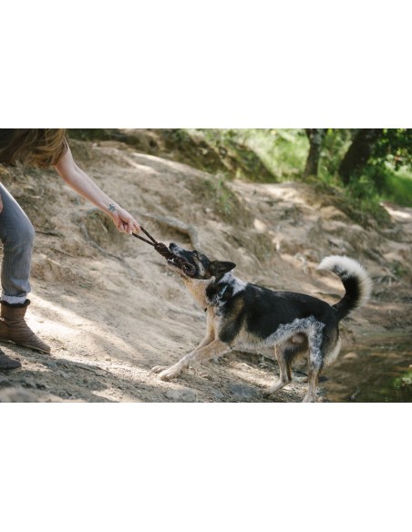 PLAY Rope Toy_Scout & About - Tug_L