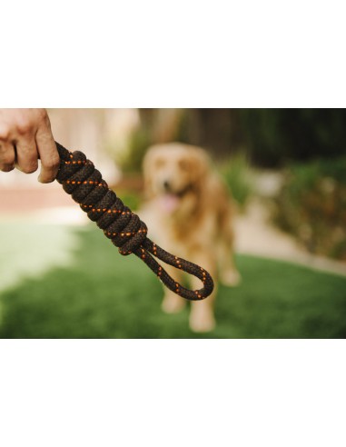 PLAY Rope Toy_Scout & About - Tug_S