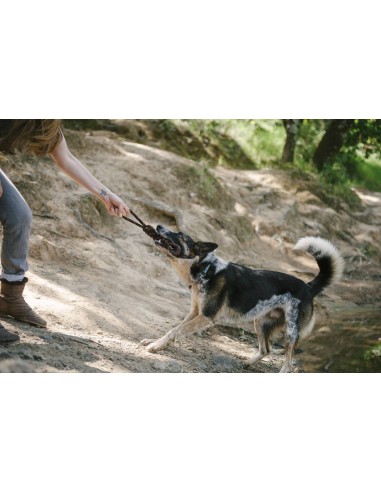 PLAY Rope Toy_Scout & About - Tug_S