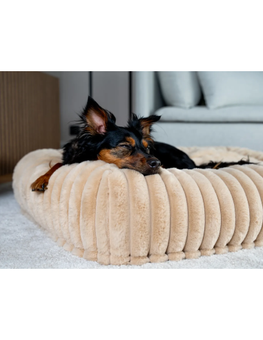 Biscuit Cube - Beige - M