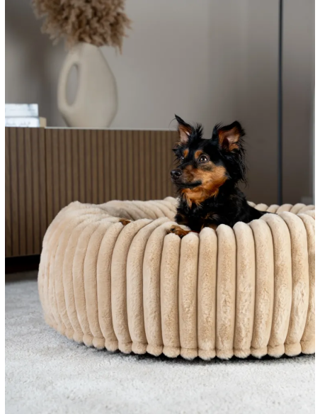 Biscuit Spot - Beige - M