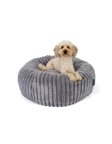 Biscuit Spot - Gris - M