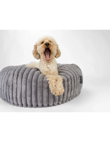 Biscuit Spot - Gris - M