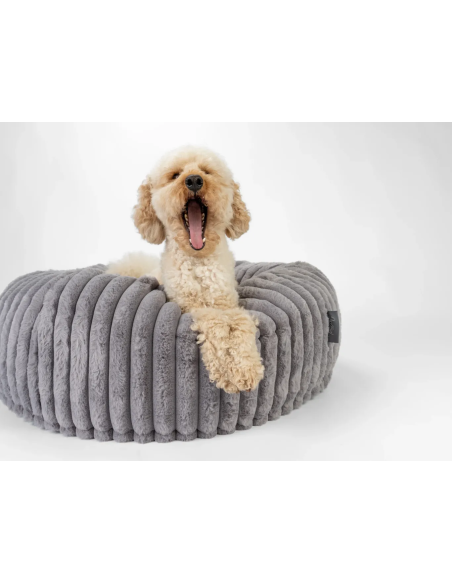 Biscuit Spot - Gris - M