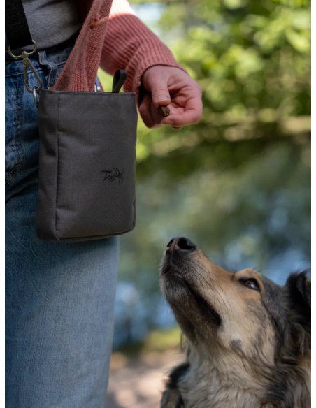 Snaxx treat bag – Grey