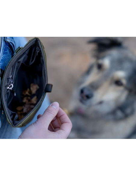 Snaxx Leckerchentasche oliv