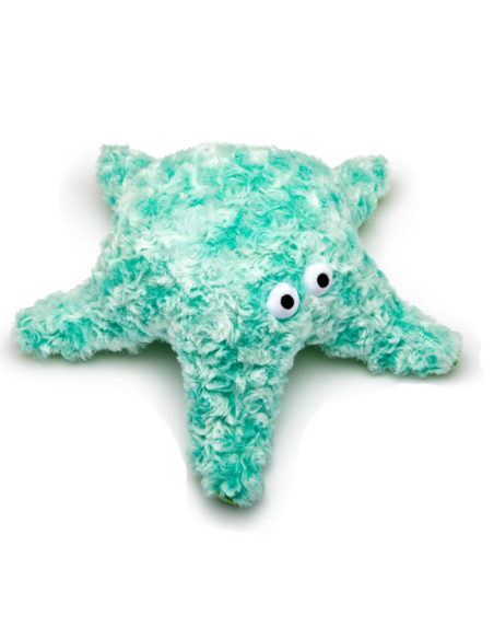 Gor Reef - StarFish - Mommy - Groen