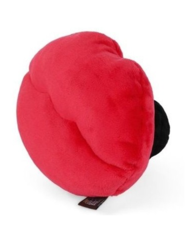 PLAY Lovebug Smoochy Poochy