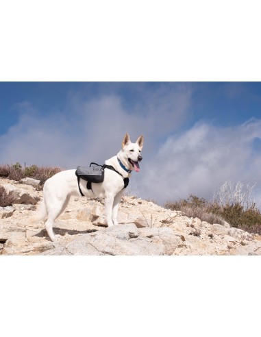 Adventure Backpack - Graphite Size large