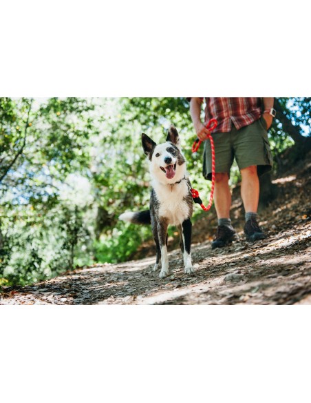 Climbers Dog Leash Original 6 Ft Color Black