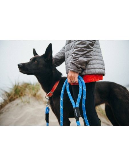 Climbers Dog Leash Original 6 Ft Color Black