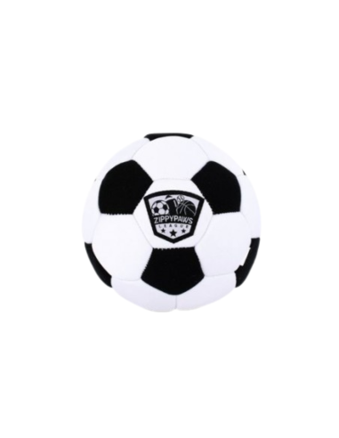 SportsBallz -Soccer