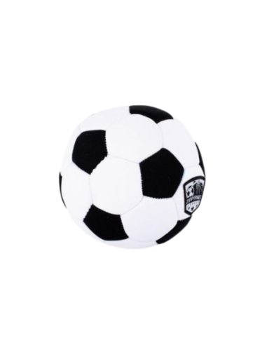 SportsBallz -Soccer