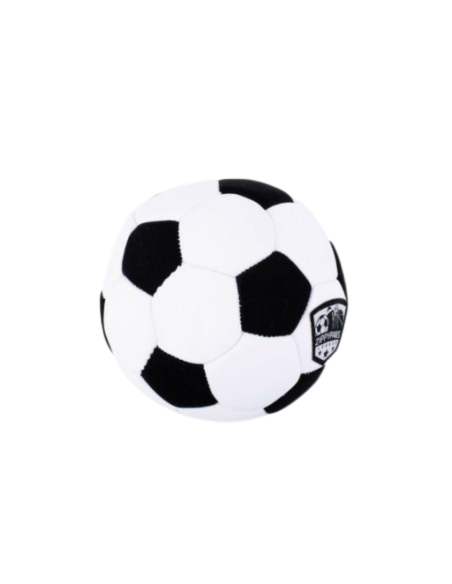 SportsBallz -Soccer