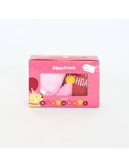 Dog Birthday Box - Pink