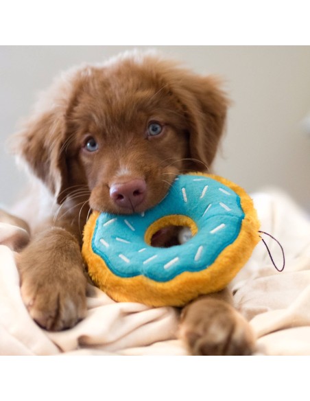 Junior Donutz - Blueberry - Dog Toy Size Regular