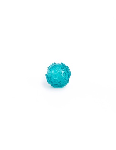 Squeaker Ball - Dog Toy Color Teal Size Large