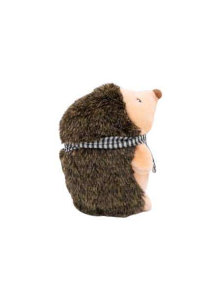 Hetty The Hedgehog