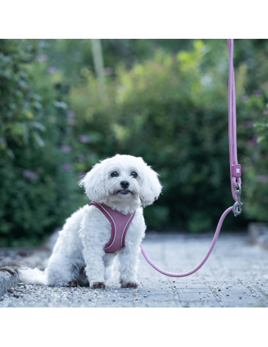 Air Vest - Matrix 2.0 Rose/S