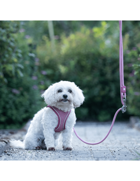 Air Vest - Matrix 2.0 Rose/L