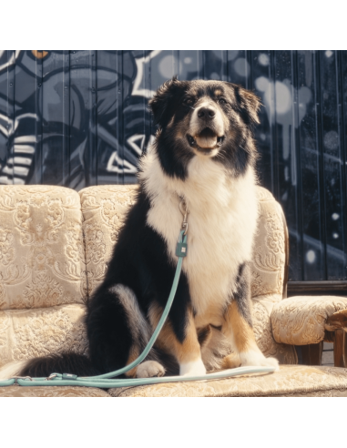 Rope Leash 2m Ø 10mm - Matrix 2.0 Jade/M-L