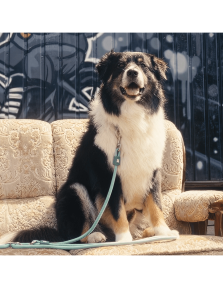 Rope Leash 2m Ø 10mm - Matrix 2.0 Jade/M-L