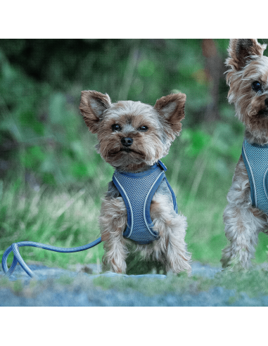 Rope Leash 2m Ø 10mm - Matrix 2.0 Ocean/M-L