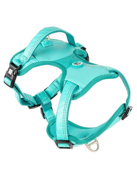Sport Harness - Matrix 2.0 Turquoise/L