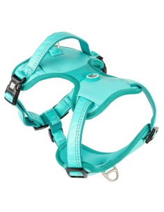Sport Harness - Matrix 2.0 Turquoise/XL