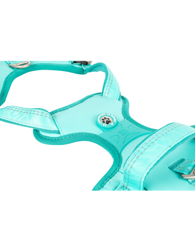 Sport Harness - Matrix 2.0 Turquoise/L