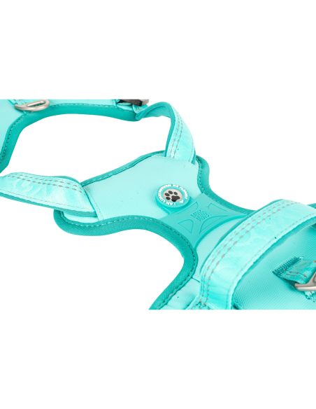 Sport Harness - Matrix 2.0 Turquoise/L