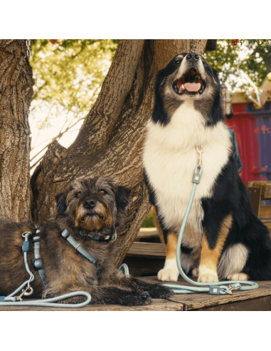 Rope Leash 2m Ø 10mm - Matrix 2.0 Jade/M-L