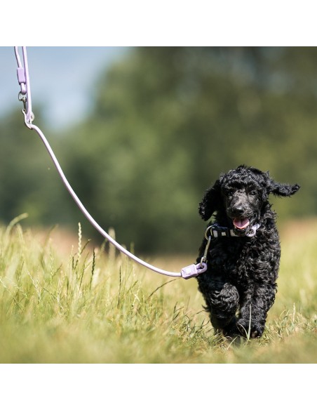 Rope Leash 2m Ø 8mm - Matrix 2.0 Lavender/XS-S