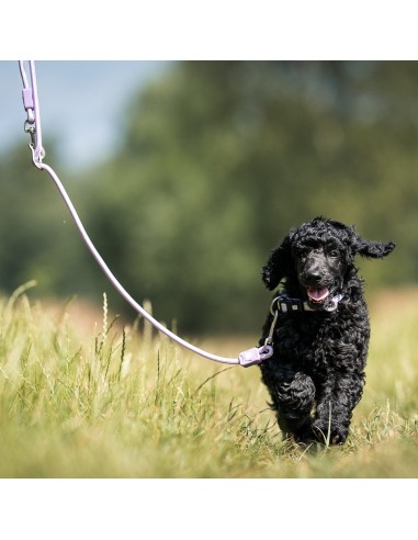 Rope Leash 2m Ø 12mm - Matrix 2.0 Lavender/L-XL