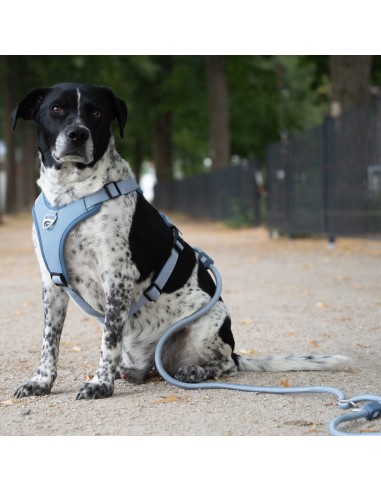 Rope Leash 2m Ø 8mm - Matrix 2.0 Ocean/XS-S