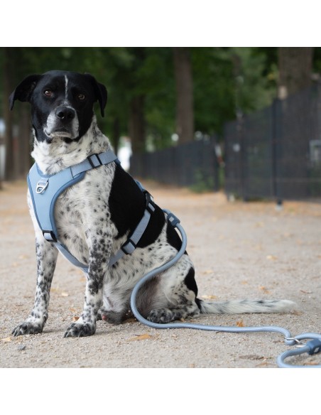 Rope Leash 2m Ø 8mm - Matrix 2.0 Ocean/XS-S
