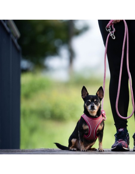 Rope Leash 2m Ø 10mm - Matrix 2.0 Rose/M-L