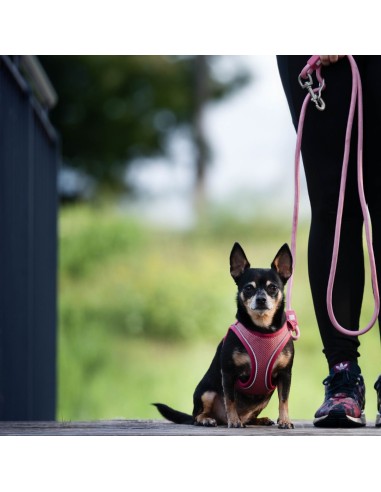 Rope Leash 2m Ø 12mm - Matrix 2.0 Rose/L-XL