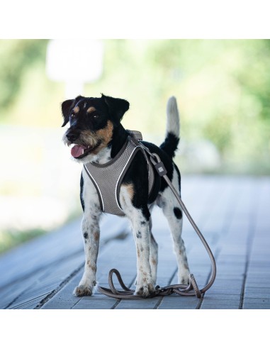 Rope Leash 2m Ø 10mm - Matrix 2.0 Sand/M-L