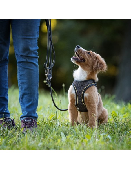 Rope Leash 2m Ø 12mm - Matrix 2.0 Stone/L-XL