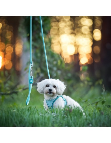 Rope Leash 2m Ø 10mm - Matrix 2.0 Turquoise/M-L