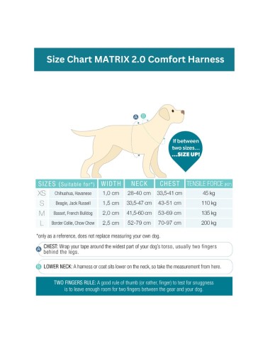 Comfort-H-Harness - Matrix 2.0 Turquoise/L
