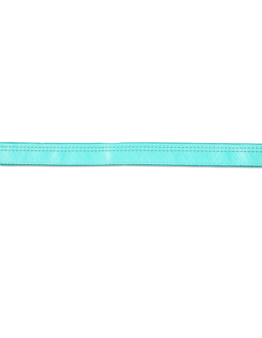 Short Leash - Matrix 2.0 Turquoise/L