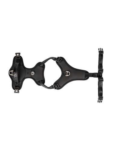 Sport Harness - Matrix 2.0 Black/M