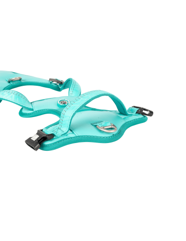 Sport Harness - Matrix 2.0 Turquoise/L