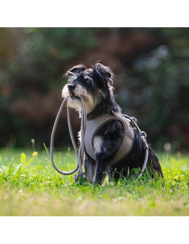 Rope Leash 2m Ø 8mm - Matrix 2.0 Sand/XS-S