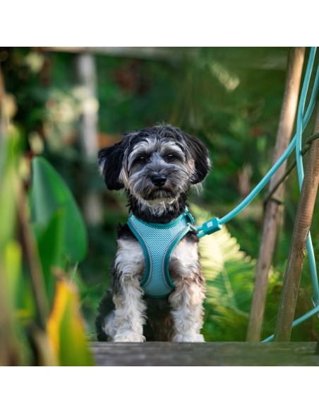 Rope Leash 2m Ø 10mm - Matrix 2.0 Turquoise/M-L
