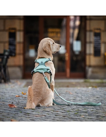 Sport Harness - Matrix 2.0 Ocean/XL