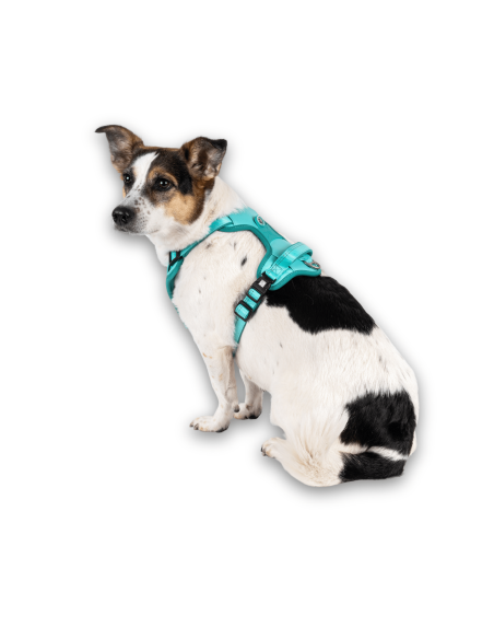 Sport Harness - Matrix 2.0 Turquoise/XL